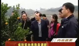 邵阳最新吃瓜爆料新闻,神秘事件背后真相揭晓！