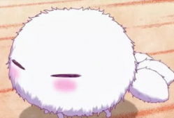 动漫中的萌宠,动漫中的软萌担当